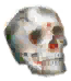 Ever-Frozen Skull