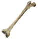 Arcane-Stitched Bone Fragments