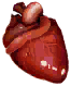 Crocodile Heart
