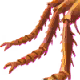 Cave Spider Legs
