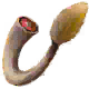 Mountain Lion Tail