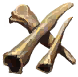 Bone Fragments