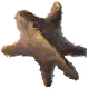 Flawless Lynx Pelt