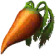 Large Carrot