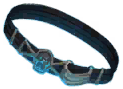 Belt of the Icebound