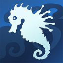 Swiftgill Form