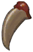 Wind Griffin Talon