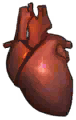 Mammoth Heart