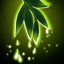 Root Memory