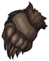 Bear Paw