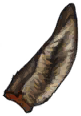 Crescent Tiger Ear